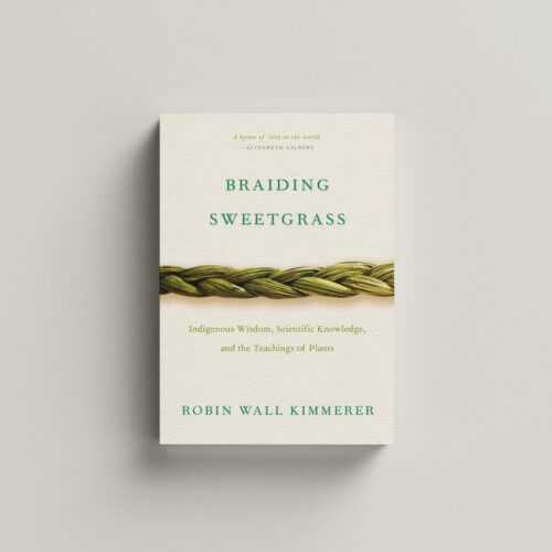braiding sweetgrass cover